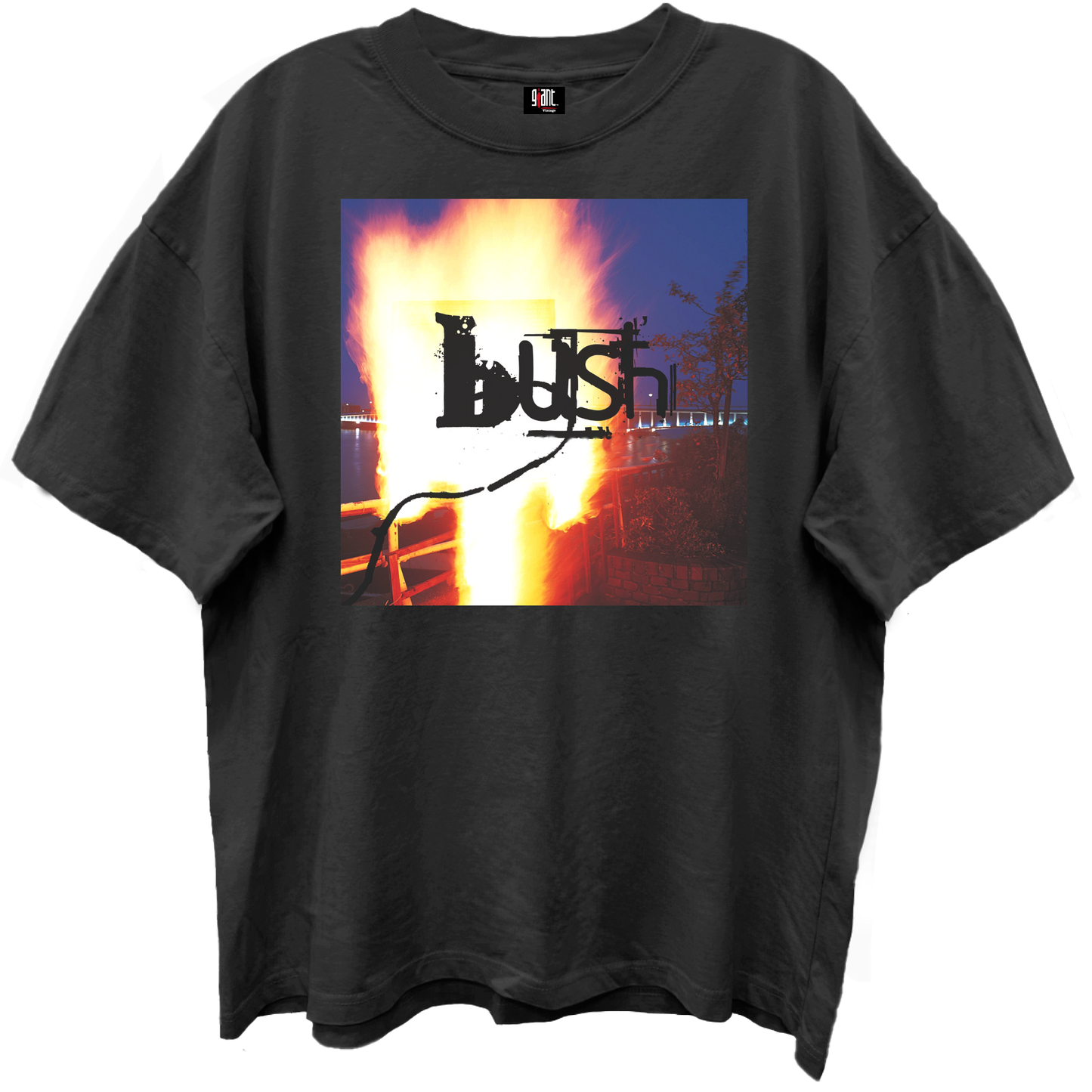 BUSH RAZORBLADE SUITCASE ALBUM COVER