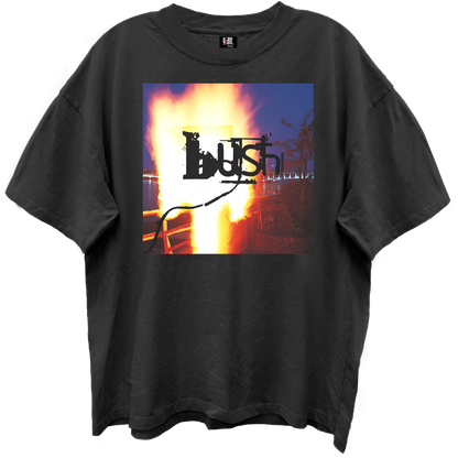 BUSH RAZORBLADE SUITCASE ALBUM COVER